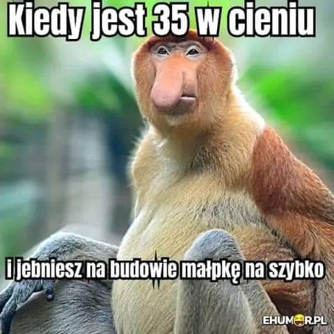 🙈🐵🐒🦧🦍😂😂😂