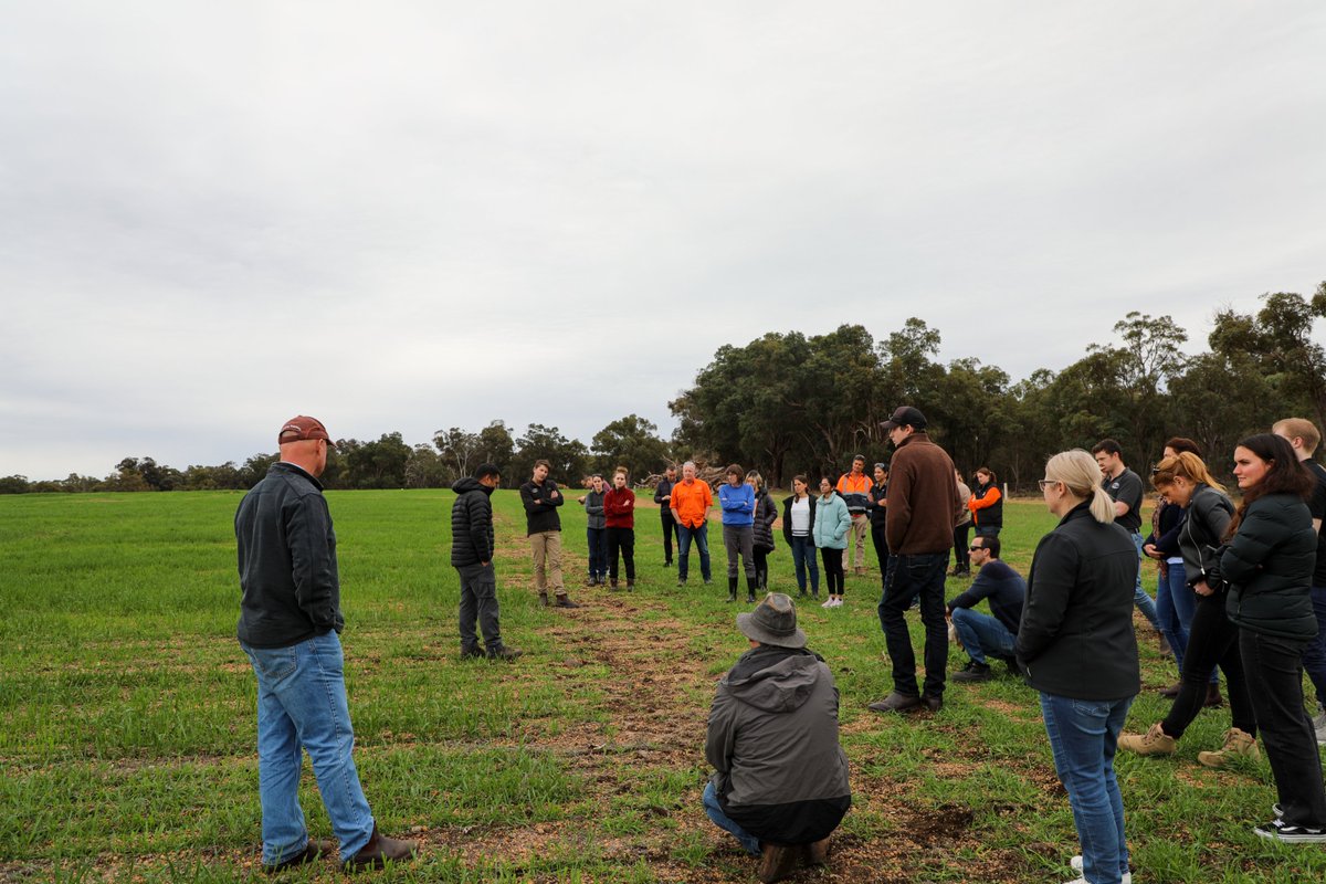 Our inaugural PhD Student Conference kicked off this week! We hosted 10 PhD students from around Australia + supervisors to give an insight into how their research is contributing to our breeding program &amp; delivering grower value #IGPhDconf