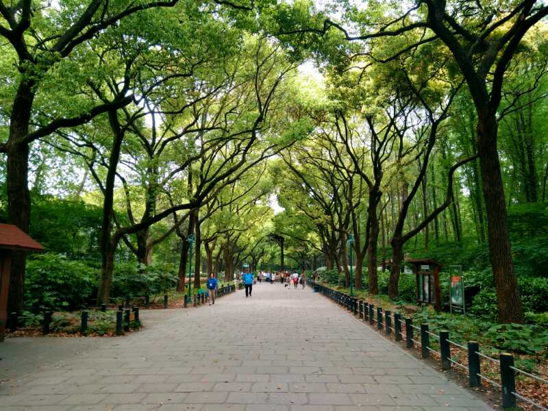 PublicaGratis.net (@publica_gratis) on Twitter photo 