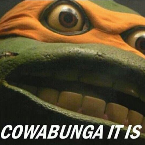 Sh3nAndygans's tweet image. 