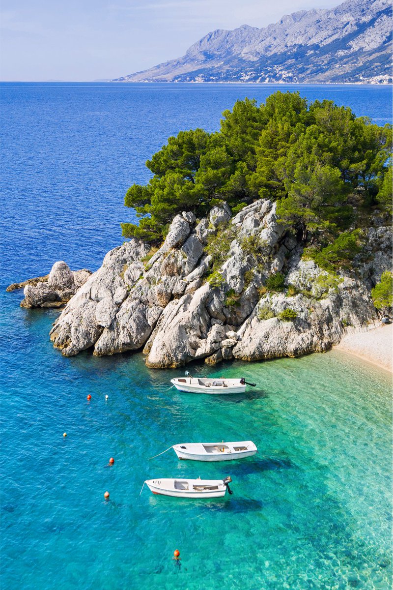 그자리 (@gjari97) on Twitter photo 