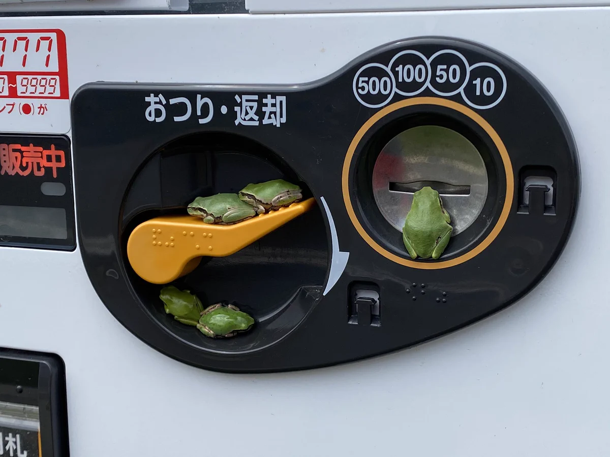 自動販売機に緑色のあの子が大集合！お金が入れられないw