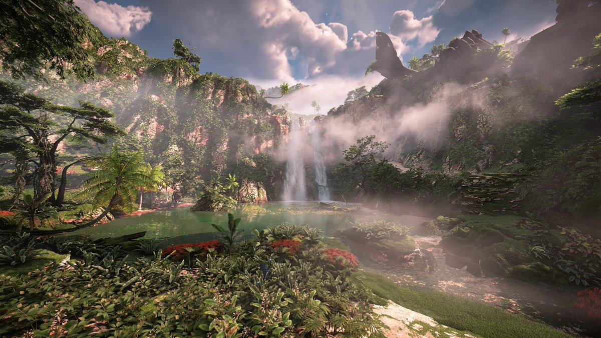 Sarah Gurrado tweet media