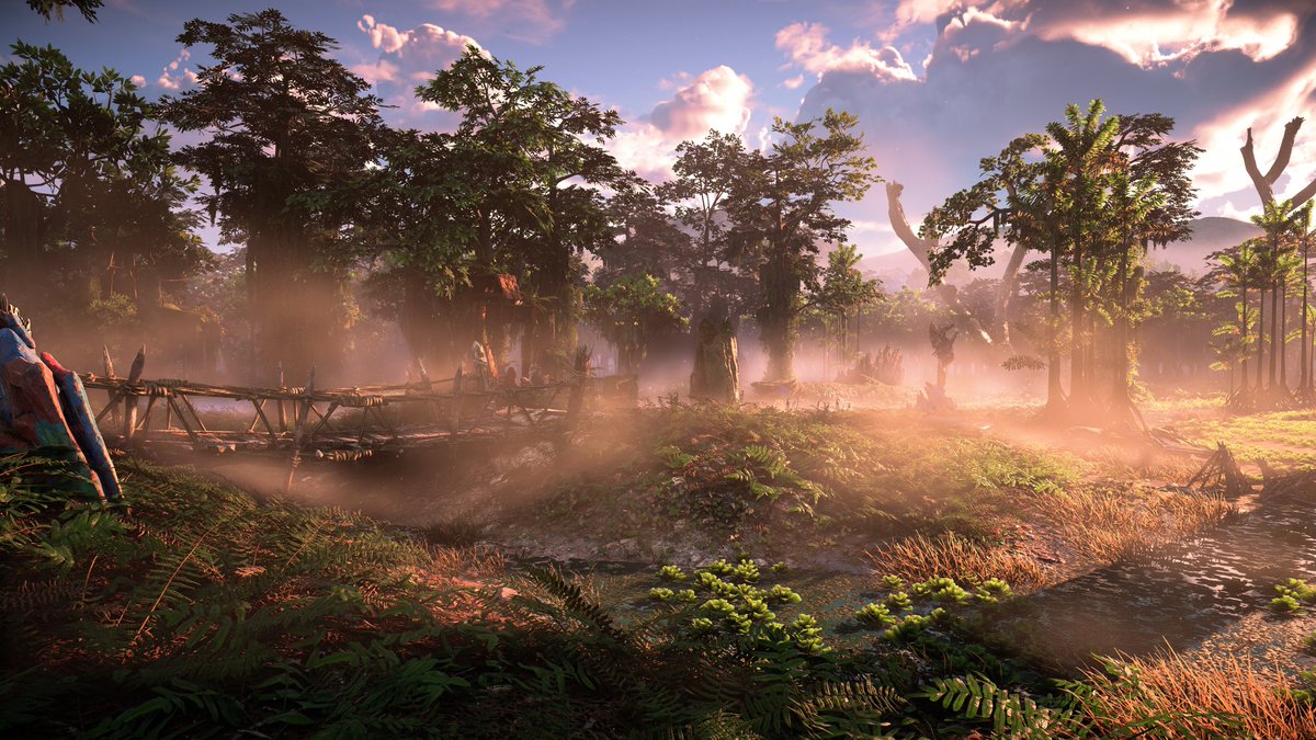 Sarah Gurrado tweet media