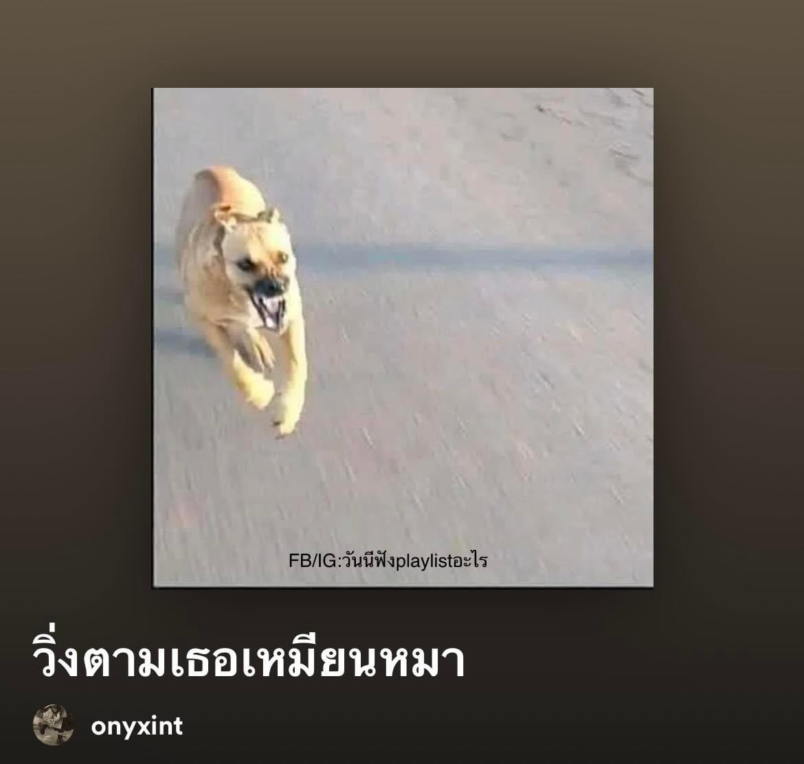 ยอมเป็นหมา ถ้าเจ้าของเป็นเทอ บรู๊ววว

IG. instagram.com/today.play.pla…
Playlist:
open.spotify.com/playlist/7DQAL…
#วันนี้ฟังplaylistอะไร #spotify #spotifyth #spotifyplaylist