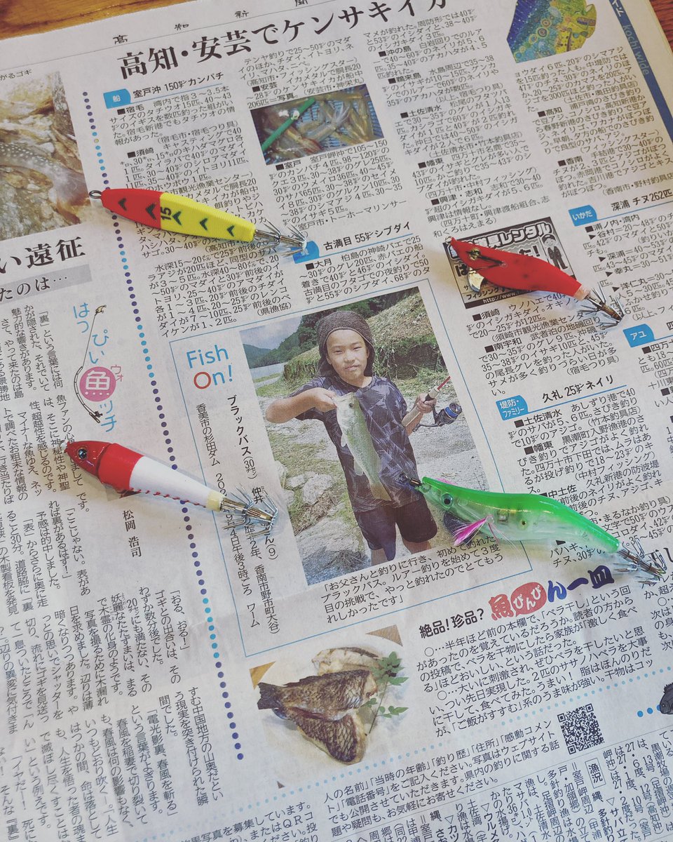 高知新聞 魚信 釣りのページ Kochi Gyoshin Twitter