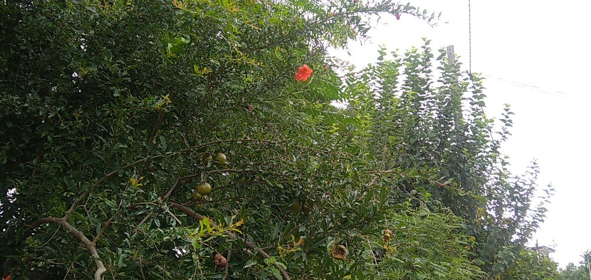 Satya pal student of Law (@satya08631805) on Twitter photo 