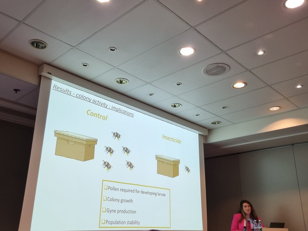 ZooKeys_Journal's tweet image. LIVE from #ICE2022: @aoreilly28 and her team at the @SUSPOLL_ire project conducted a test on effect of two commonly used insecticides on commercial #bumblebee colonies. What would be the short- and long-term consequences on foraging behaviour & #pollination services. #Hymenoptera