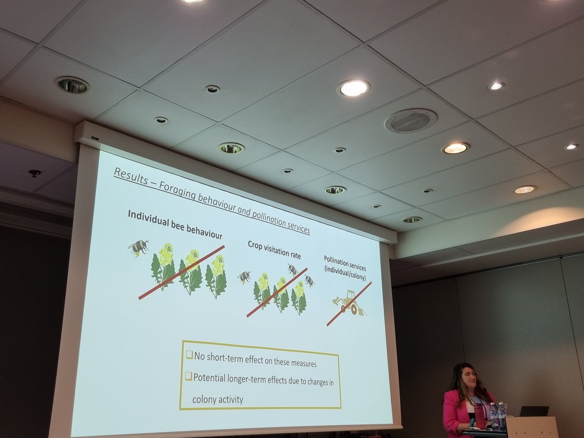 ZooKeys_Journal's tweet image. LIVE from #ICE2022: @aoreilly28 and her team at the @SUSPOLL_ire project conducted a test on effect of two commonly used insecticides on commercial #bumblebee colonies. What would be the short- and long-term consequences on foraging behaviour & #pollination services. #Hymenoptera