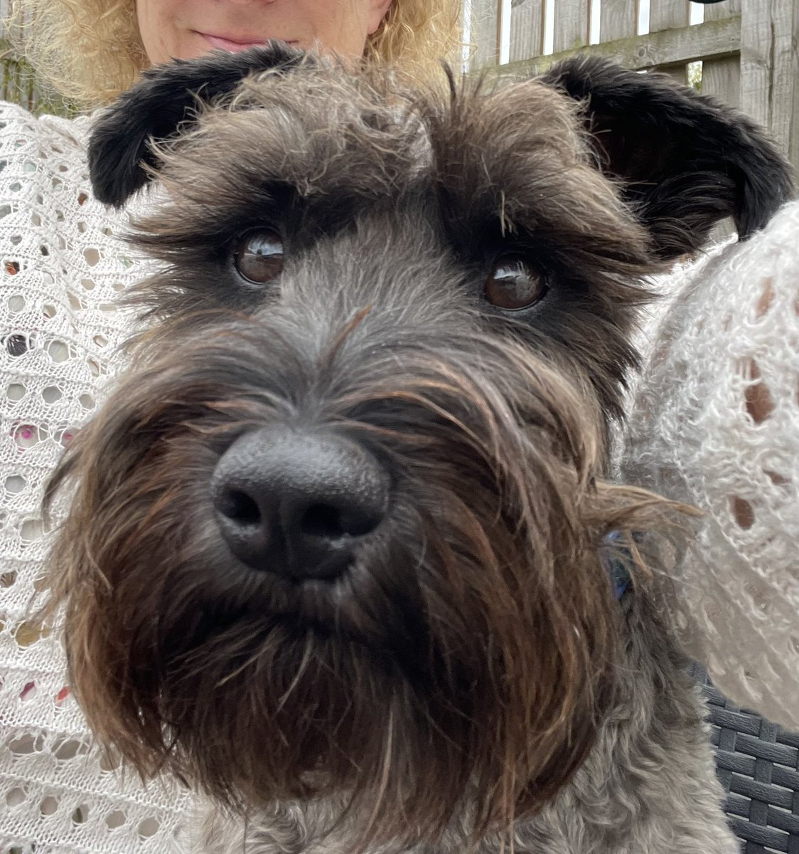 Janice Prandstatter tweet media