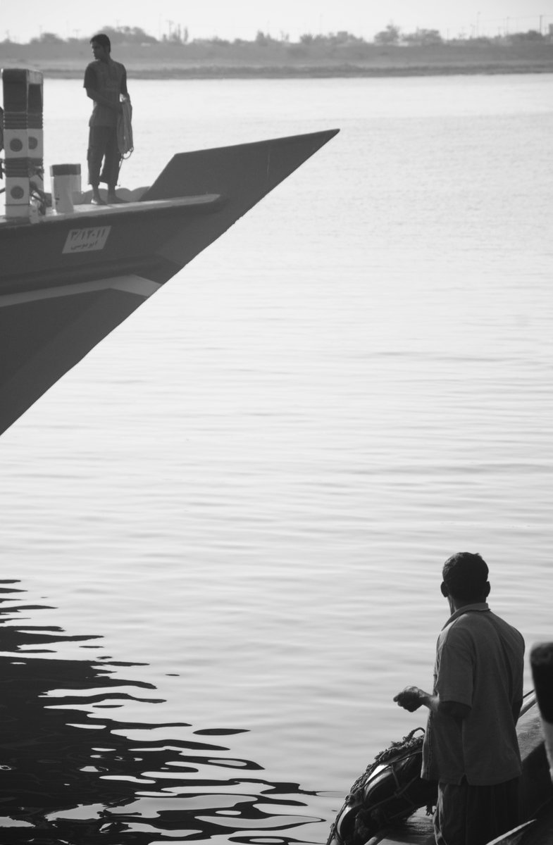 davood1980 tweet media