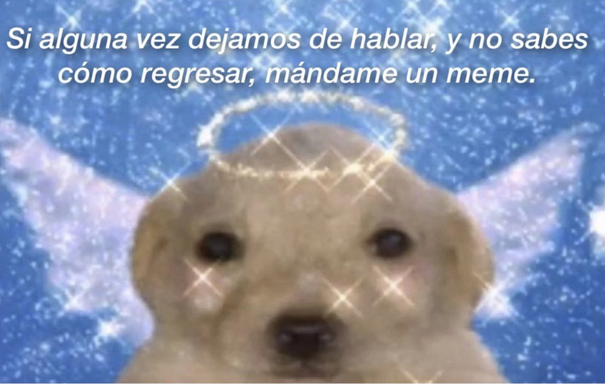 Guarromantico_'s tweet photo. https://t.co/pL0GQ0Us6n