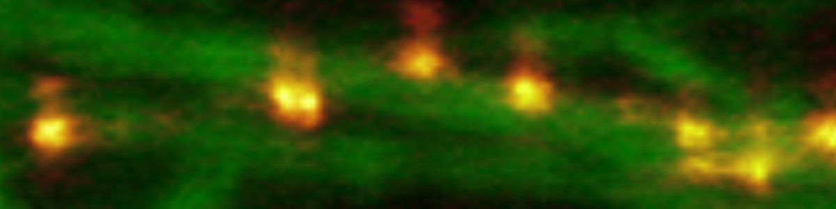 Reviewer:  I did not see a single piece of data on the claims that their method can identify synapses.

Me: You just didn't see a "Electron microscopy" kind of synapse.