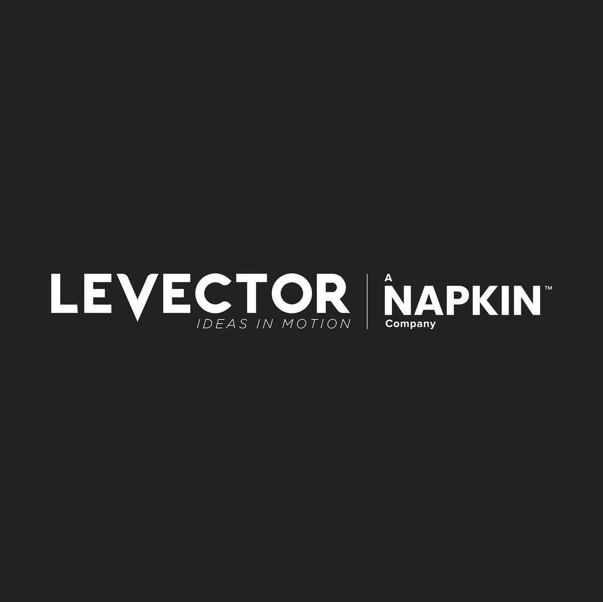 Levector2's tweet photo. Somos más fuertes. Levector es ahora parte de una gran cadena de empresas sólidas, que suman sus fuerzas para seguir brindando productos de primera. La misma calidad de producción y servicio que tenemos nacionalmente, hoy se exporta también al mercado internacional https://t.co/5ayihHdQCL