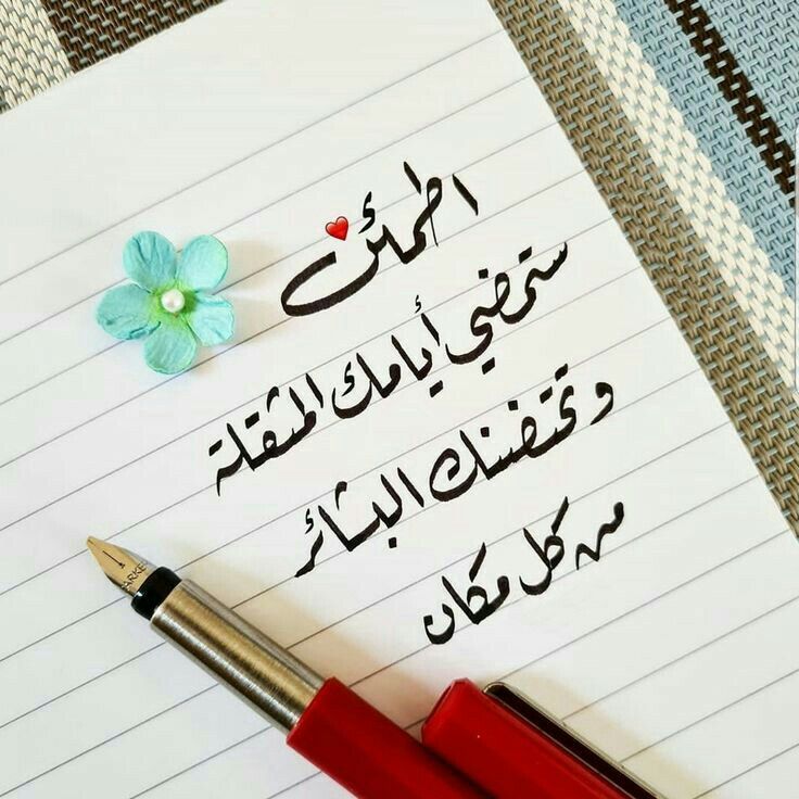 الدكتوره ناديه عماره 🍥 tweet media