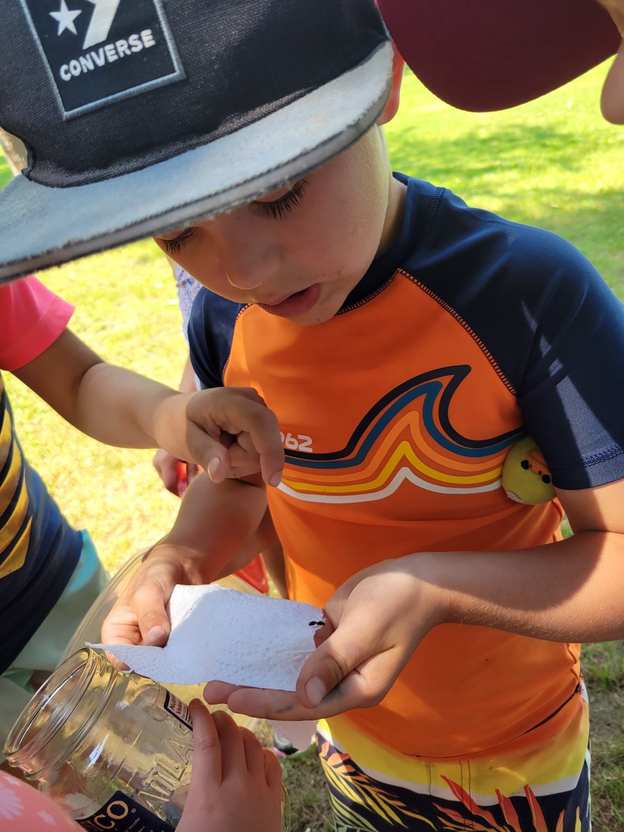 Les élèves du Camp franco parle-parle, jase-jase  de l' école élémentaire Sainte-Trinité en avaient long à dire au sujet des insectes trouvés pendant leur exploration en nature.@ CSDCEO,@OntarioSLP,<a href="/EEC_Ste_Trinite/">EEC Sainte-Trinité</a>