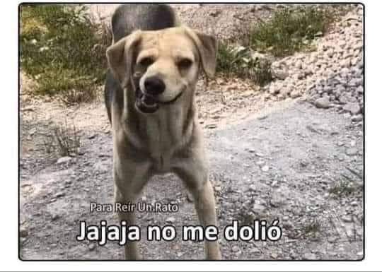 Mariely_1791's tweet photo. @Diego72501305 El Gabo 😂 https://t.co/tNJXEP52A0
