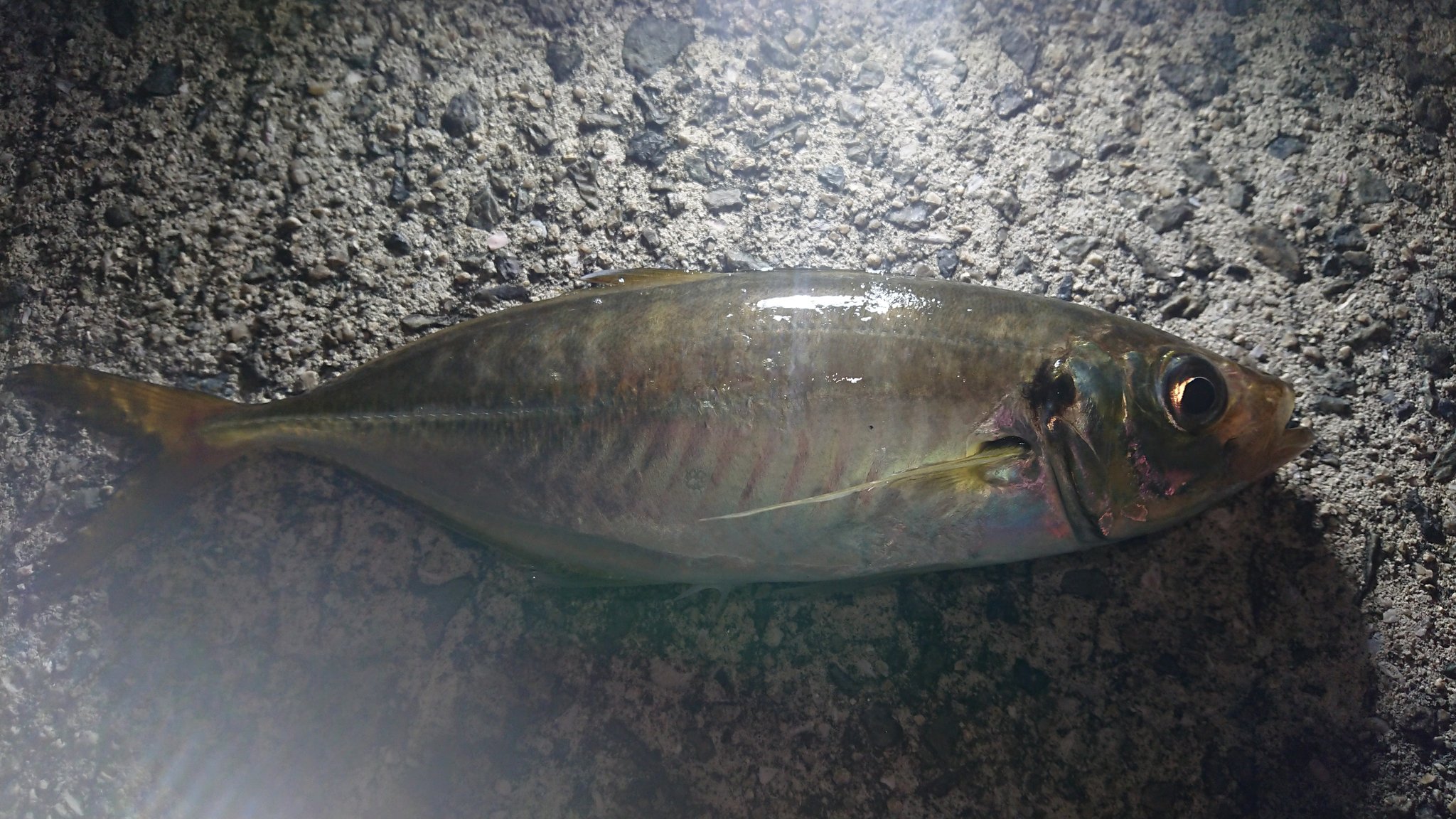 See Dijon S Tweet On Jul 21 22 Twitter