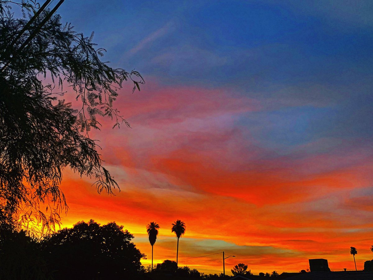 Desert sunset