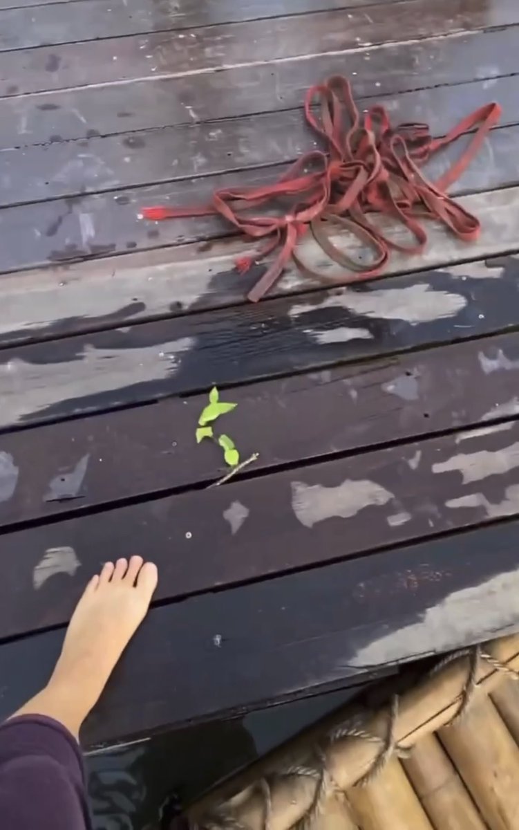 ลำจวนก็ตัวแค่นี้ 😊🤏🏻

app.bnk48.com/timeline/conte…  

#CherprangBNK48