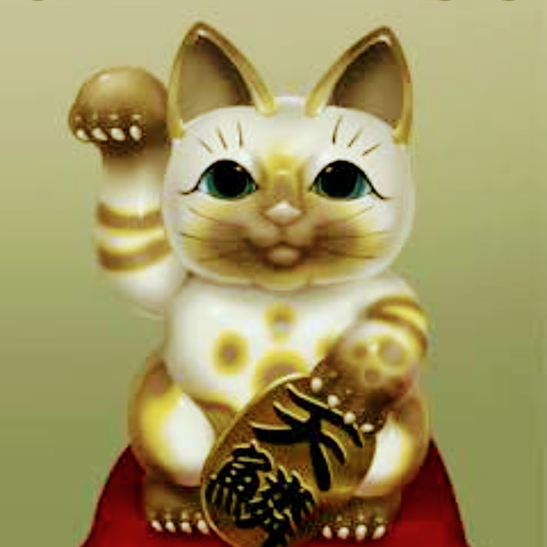 マネキネコエキスプレス代表 on Twitter 