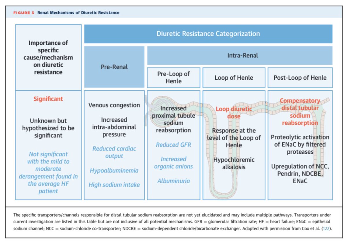 Edgar V. Lerma 🇵🇭 on Twitter "Diuretic resistance in heart failure ca. 2020 from JACCJournals