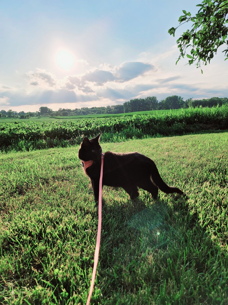 Bluebird 🐦 🍋 🎰 👛 tweet media