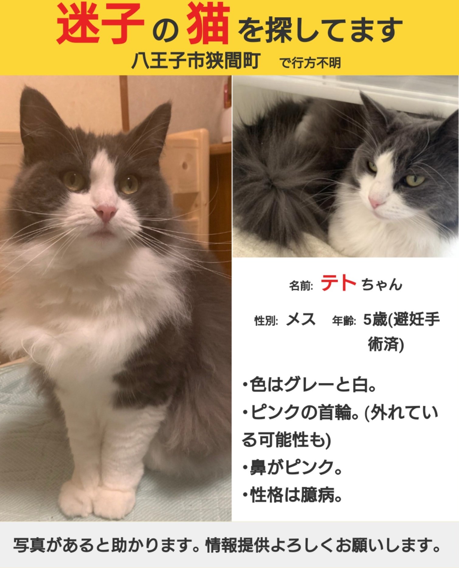 グレーと白 Twitter Search Twitter