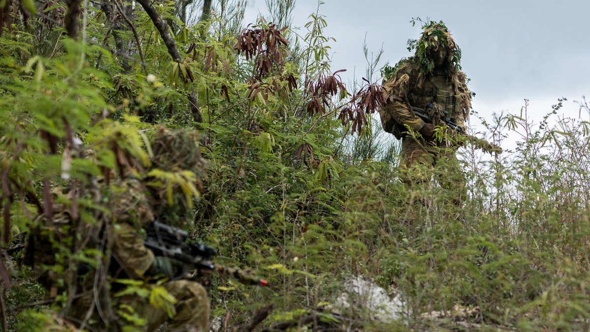 hqjoc's tweet photo. Nothing but stealthy shapes and quiet footfalls among the leaves....🍃 

Australian Army soldiers from 2nd Battalion, the Royal Australian Regiment — Second to None — provides security during a reconnaissance mission as part of RIMPAC #CapableAdapativePartners https://t.co/S1Brx1lJP3
