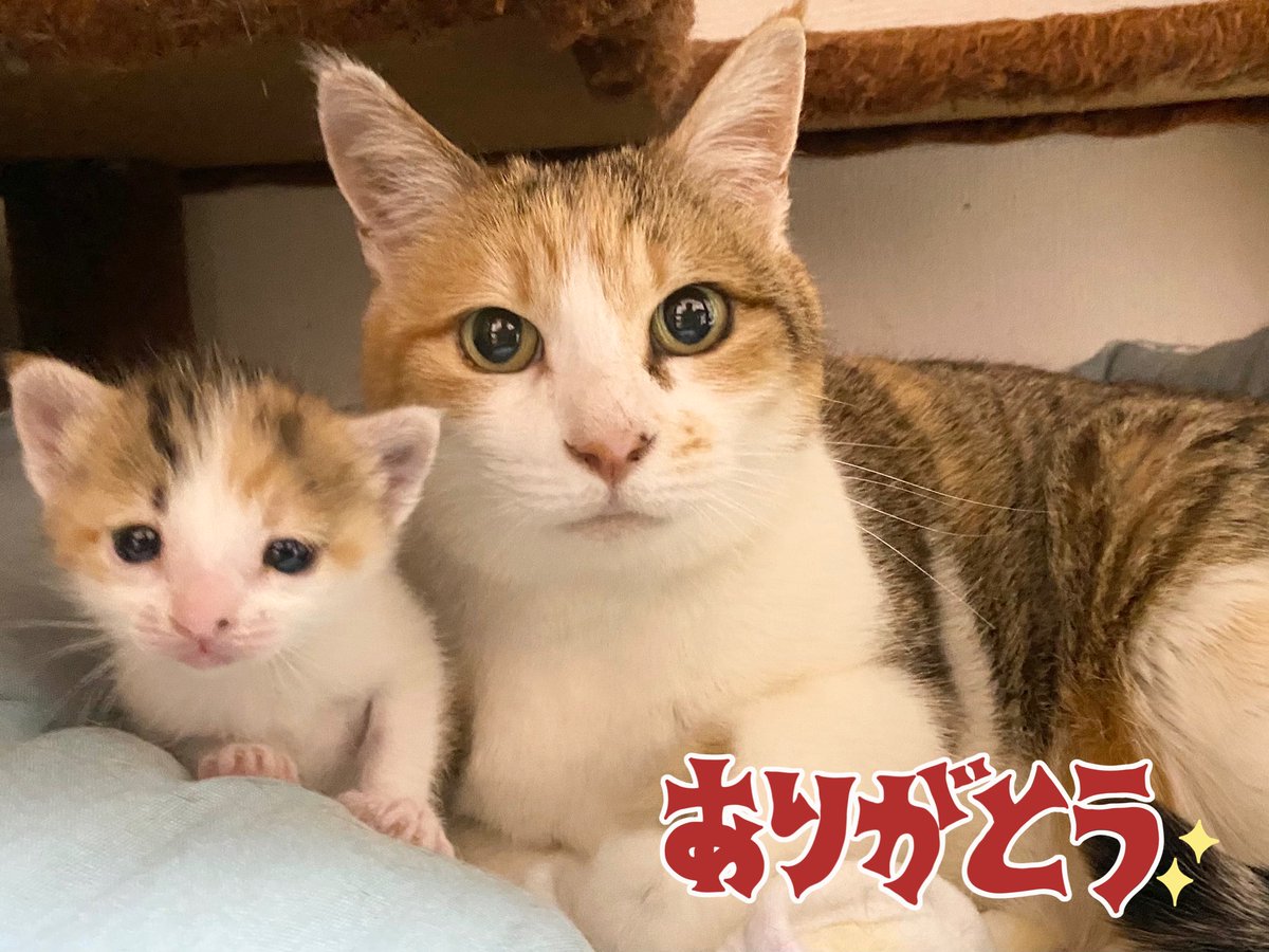 docma1212's tweet photo. #たまんまファミリー
#たまんまちゃんファミリー https://t.co/ZkekrrcniY