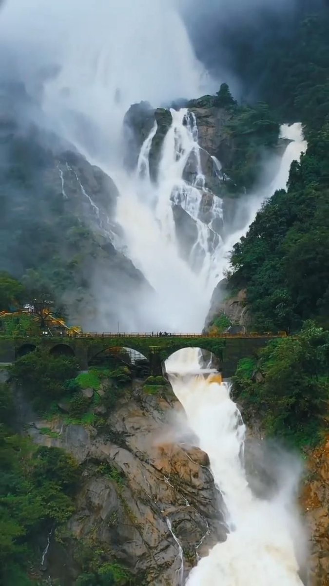 사랑나이 (@logmassdol01054) on Twitter photo 