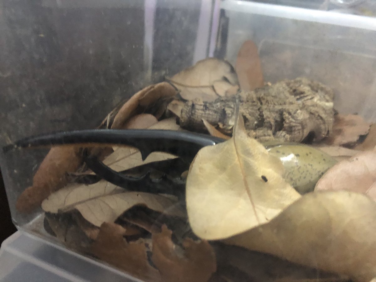 やまだ Yama San0908 Twitter やまだ Yama San0908 Twitter