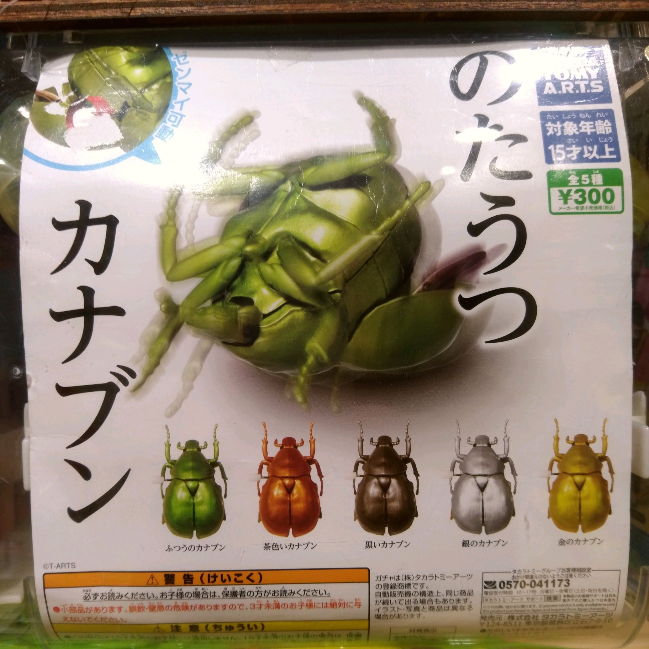 コノハカマキリ Twitter Search Twitter