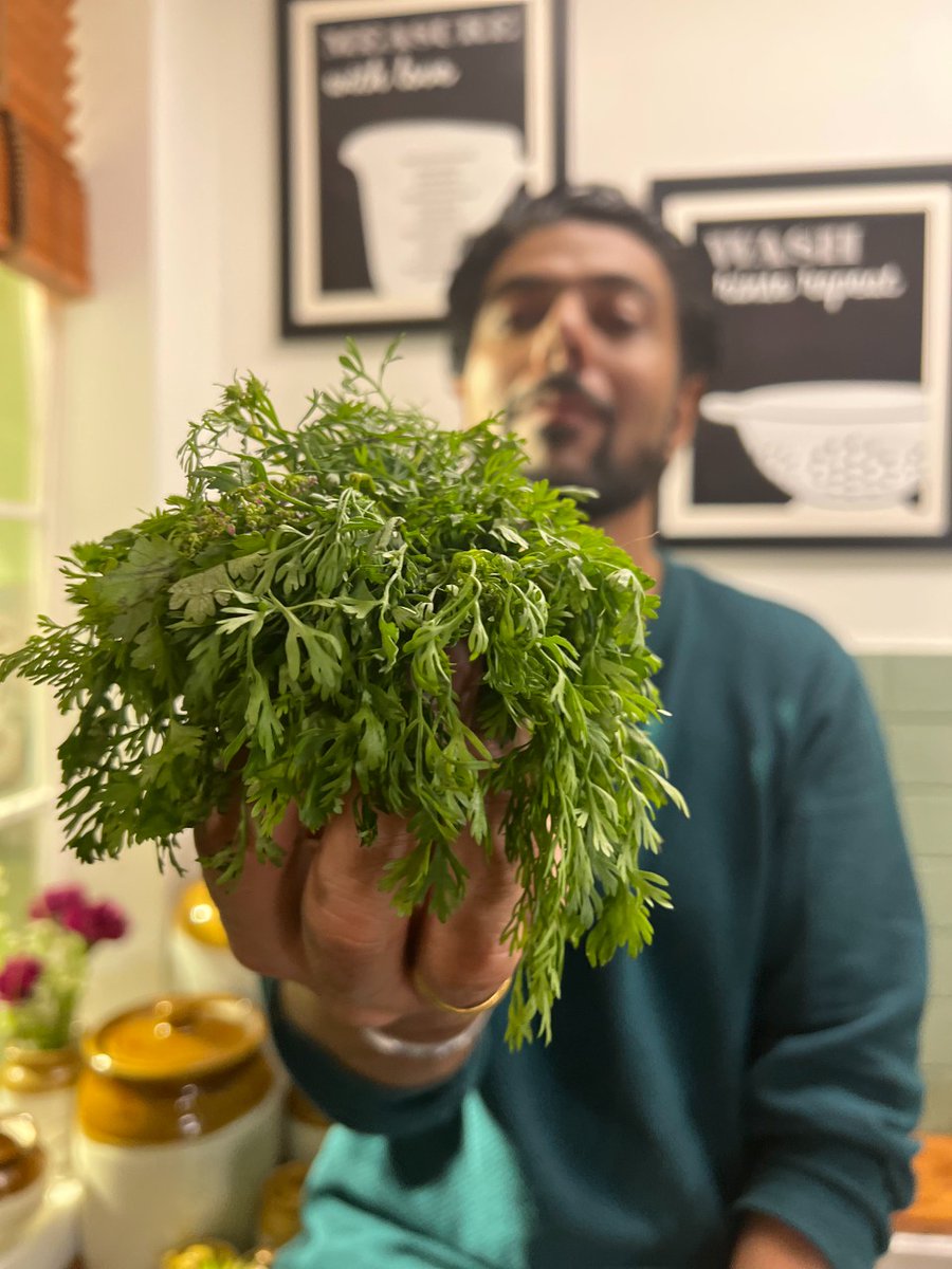 ranveerbrar's tweet photo. Lo ji meri taraf se aapko yeh taufa!
.
.
.
#ranveerbrar #taufa #gift #giftforyou #thursday #thursdaymotivation #pictureoftheday #justforfun #coriander #corianderleaves #happiness #myhappiness https://t.co/DrlIzLKLq5