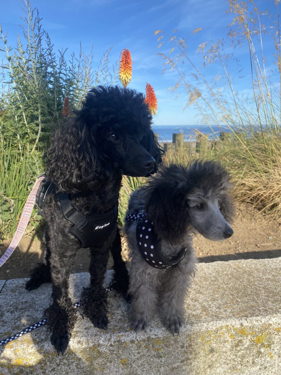 Sue6869's tweet photo. 🥰 https://t.co/DuOzaOY15r