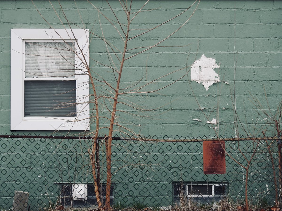 kimwilkie33's tweet photo. Theme: Windows and Doors
I often create themed self-assignments to work on my photography skills, to help train my artistic eye, and to see the world in more detail. This is one of my favorite ongoing themes.
#selfassignment #photography #PhotoTwitter #ThePhotoHour https://t.co/ICzglBf6Ey