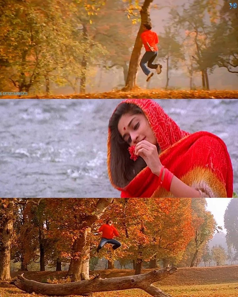 vada__poche's tweet photo. Colors ♥️ https://t.co/o3jMjFmXul