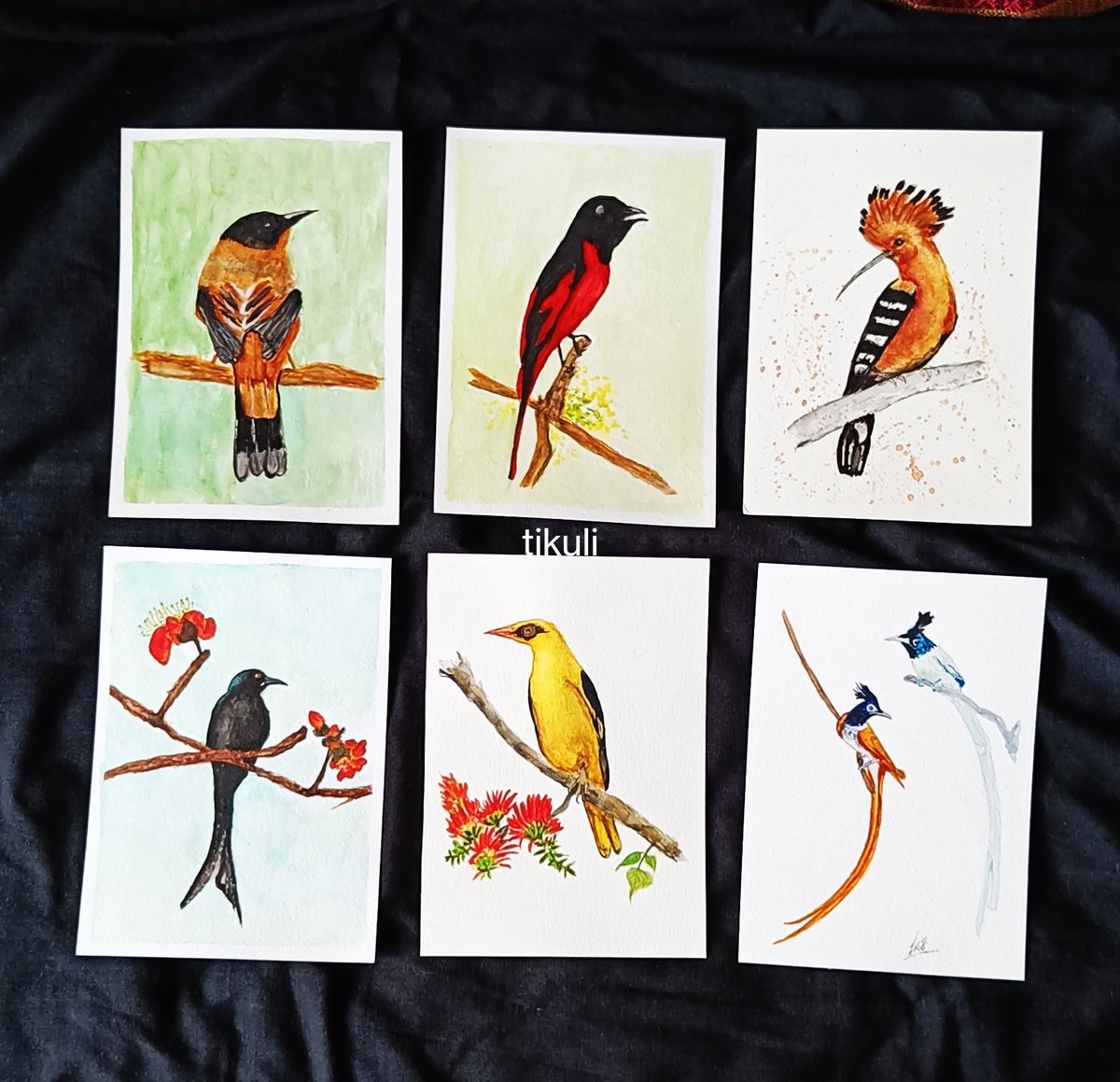 tikulli's tweet photo. 1/n Birds in Watercolor and Gouache. Size A5. Handpainted & Unframed. DM for price. RT for visibility. #BirdTwitter #birds #handpainted #handmade #Art #Artist #ArtistOnTwitter #artsale #artforsale #buyart #giftideas #GiftArt #birdpainting #painting #artwork #artshare #Artists https://t.co/TXMsf2sRmh