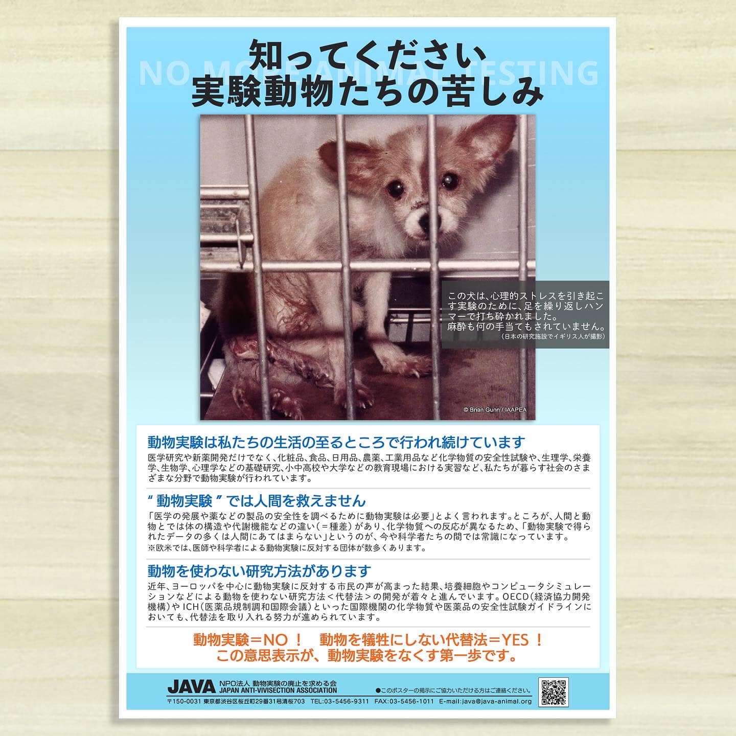 動物実験の廃止を求める会 Java Java Animal Twitter