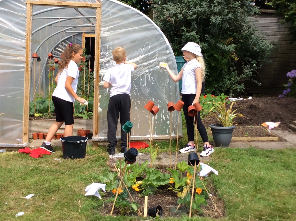 Year 4 have been very busy this term developing the polytunnel and allotment. We're looking forward to the harvest in September!
Watch this space - more photos coming soon...