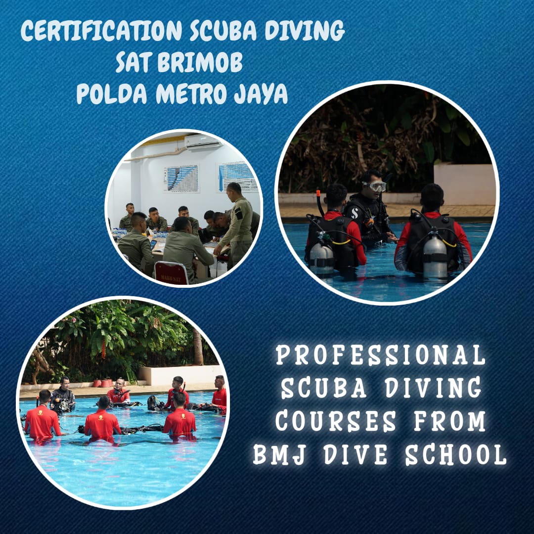 bmjdiveschool's tweet image. Certification Scuba Diving Satuan Brimob Polda Metro Jaya From BMJ Dive School.
.
.
#tryscuba #divecourse #openwater #poolclass #kursusselamjakarta #myssi #divingjakarta #pulauseribu #underwater