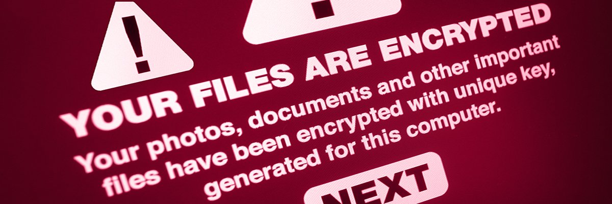 CablersLtd's tweet photo. We ALWAYS recommend you have a working backup for your data, but there are limitations. This is a great explainer article about backups and ransomware

#BackUp #CyberSecurity #NotFoolproof

https://t.co/xftKl6QFe0 https://t.co/goHXzRJ6vs