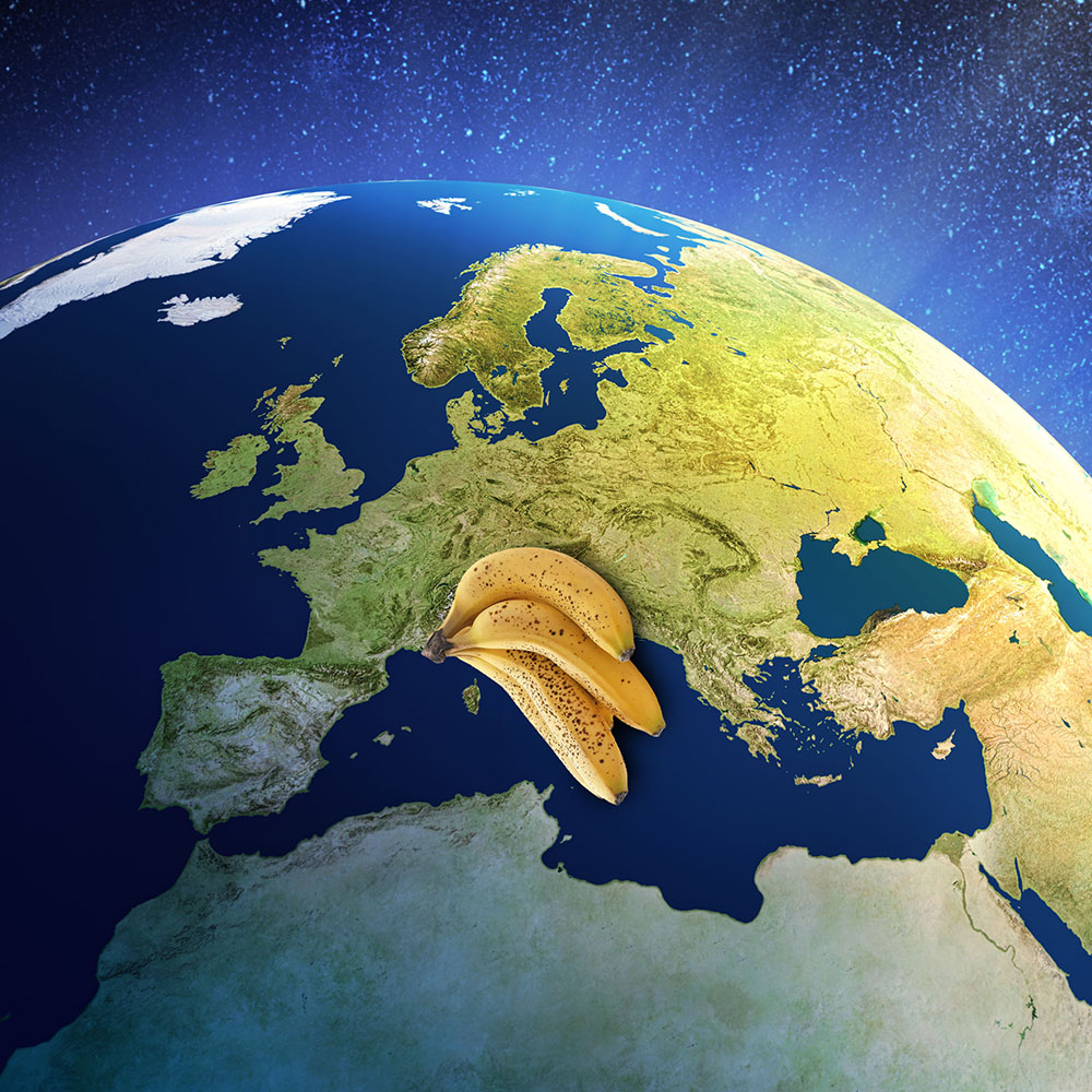 pppuxeddu's tweet photo. L’Italia vista dallo spazio, oggi.
#Italia #draghi #Parlamento 
#Webb #Mattarella #Quirinale #ISS #InternationalSpaceStation 
#crisidigoverno #crisigoverno #MarioDraghi #propagandalive #ESA #NASA #NASAWebb https://t.co/I0oGBdUKAB