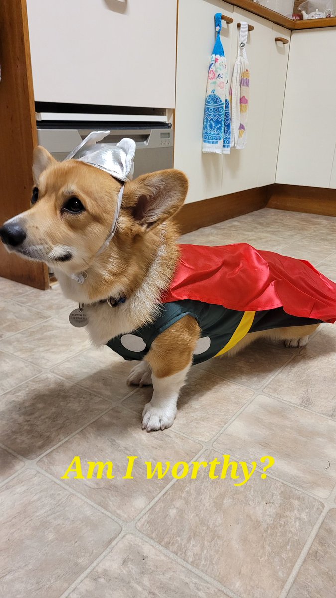 Finally got her an outfit!