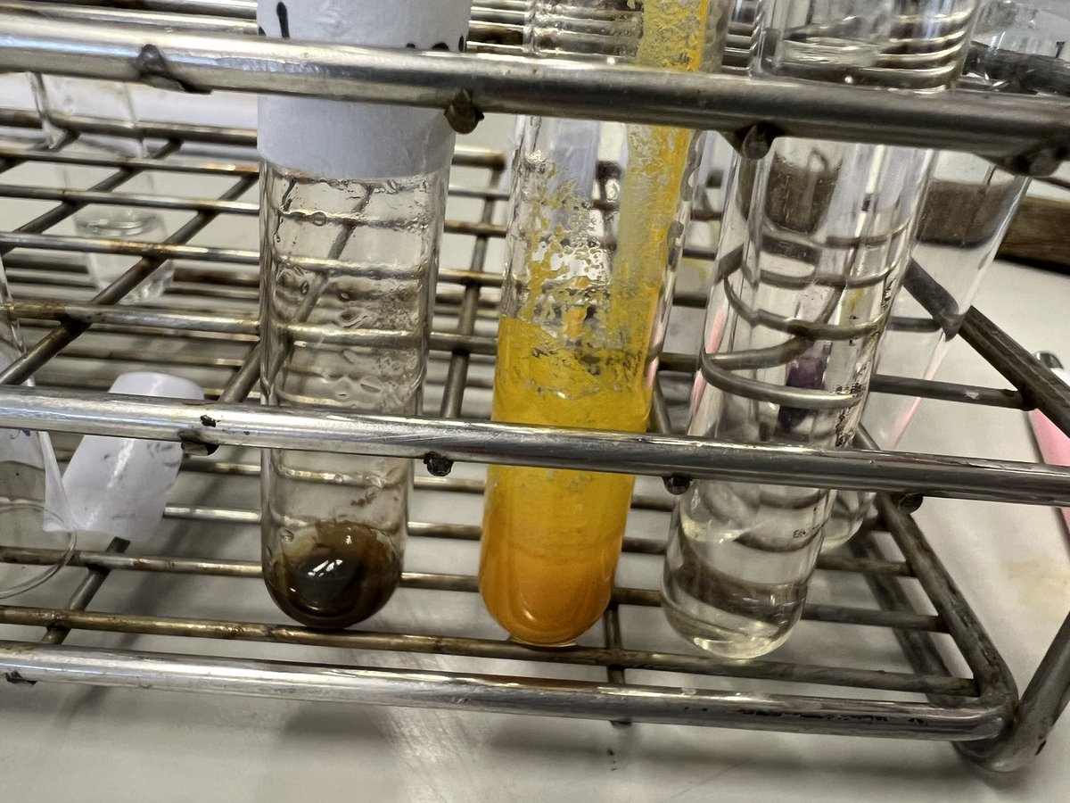 mkpk2006's tweet photo. LAB10 การวิเคราะห์หมู่ฟังก์ชันของอินทรีย์🧪 https://t.co/7vbW83Ar4K