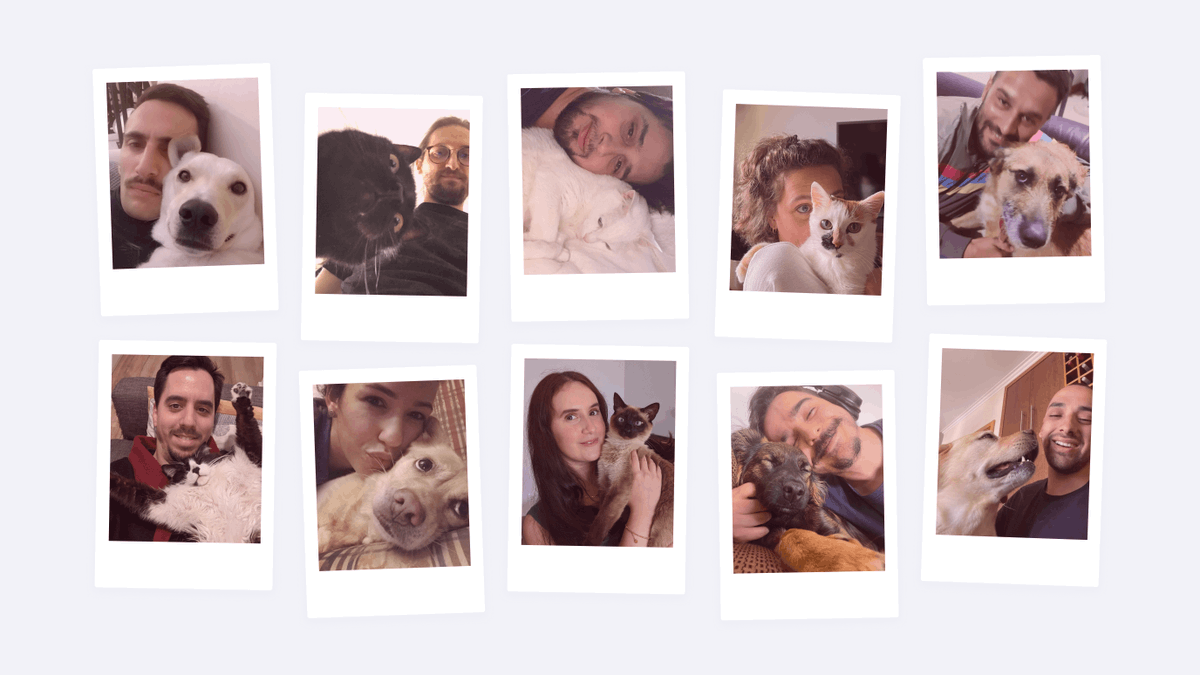coletivstudio's tweet photo. Last month we launched https://t.co/pAmvGdIYNc to help animal associations because we indeed have a soft spot for animals. 
Take a look at our pets fam! 🥹 https://t.co/rYutIvLoXF