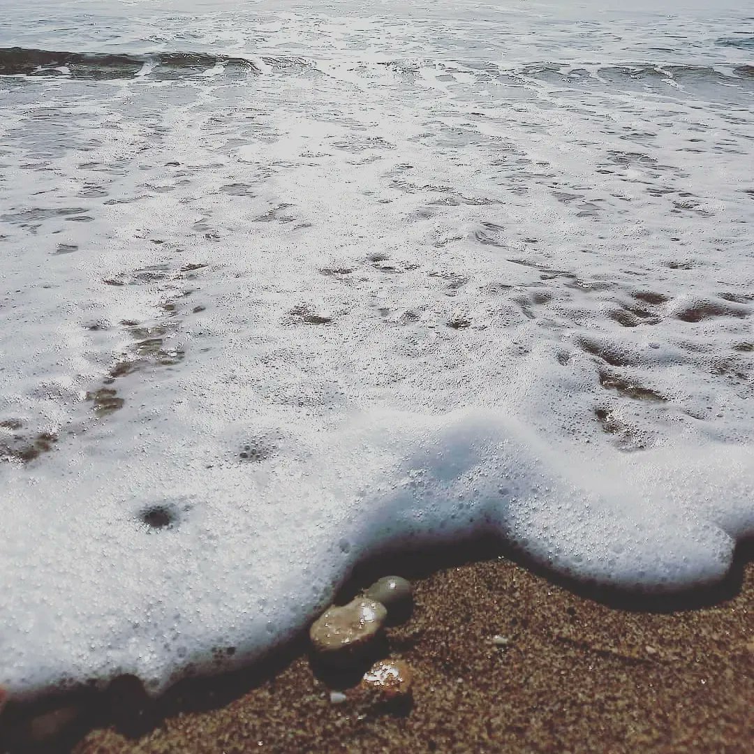 Popeta11's tweet image. Si al final tindrà raó la gent i lo millor per a ésser feliç és no esperar res de ningú, expectatives 0.

Collons, com he trigat a adonar-me'n.