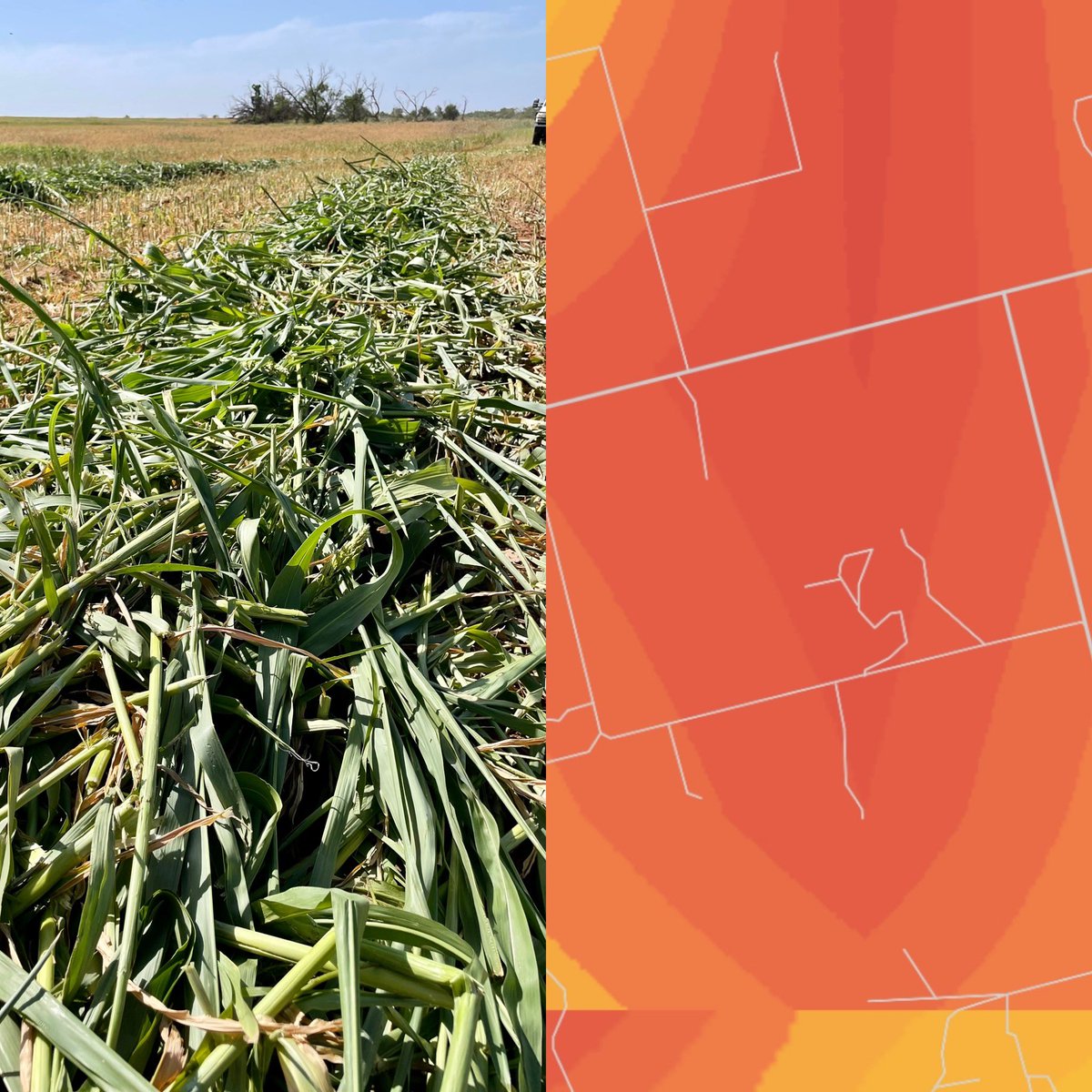 Cut your only field of hay grazer to make it rain <a href="/AustinMiles2010/">Austin Miles</a> #rotantx