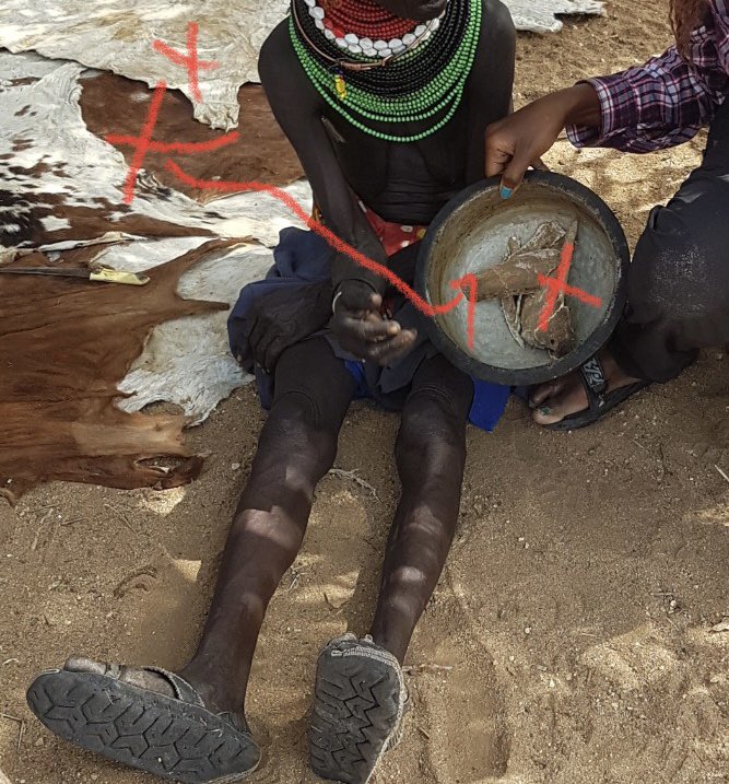 Liz_Kimani's tweet photo. The issue of food as a basic need &amp; right needs serious consideration by government!

I was very saddened to learn that people in Turkana are facing such serious hunger to the extent of eating their bed/beddings.

This woman cooks a cow skin she has used as bed for >10y for food. https://t.co/2L9Pa6TqHr