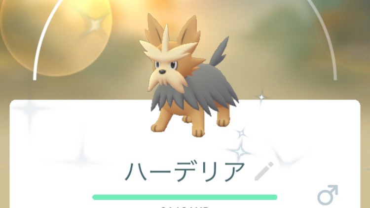 ポケモンgo ムーランドの色違い 入手方法と実装状況 攻略大百科 ポケモンgo ムーランドの色違い 入手方法と実装状況 攻略大百科